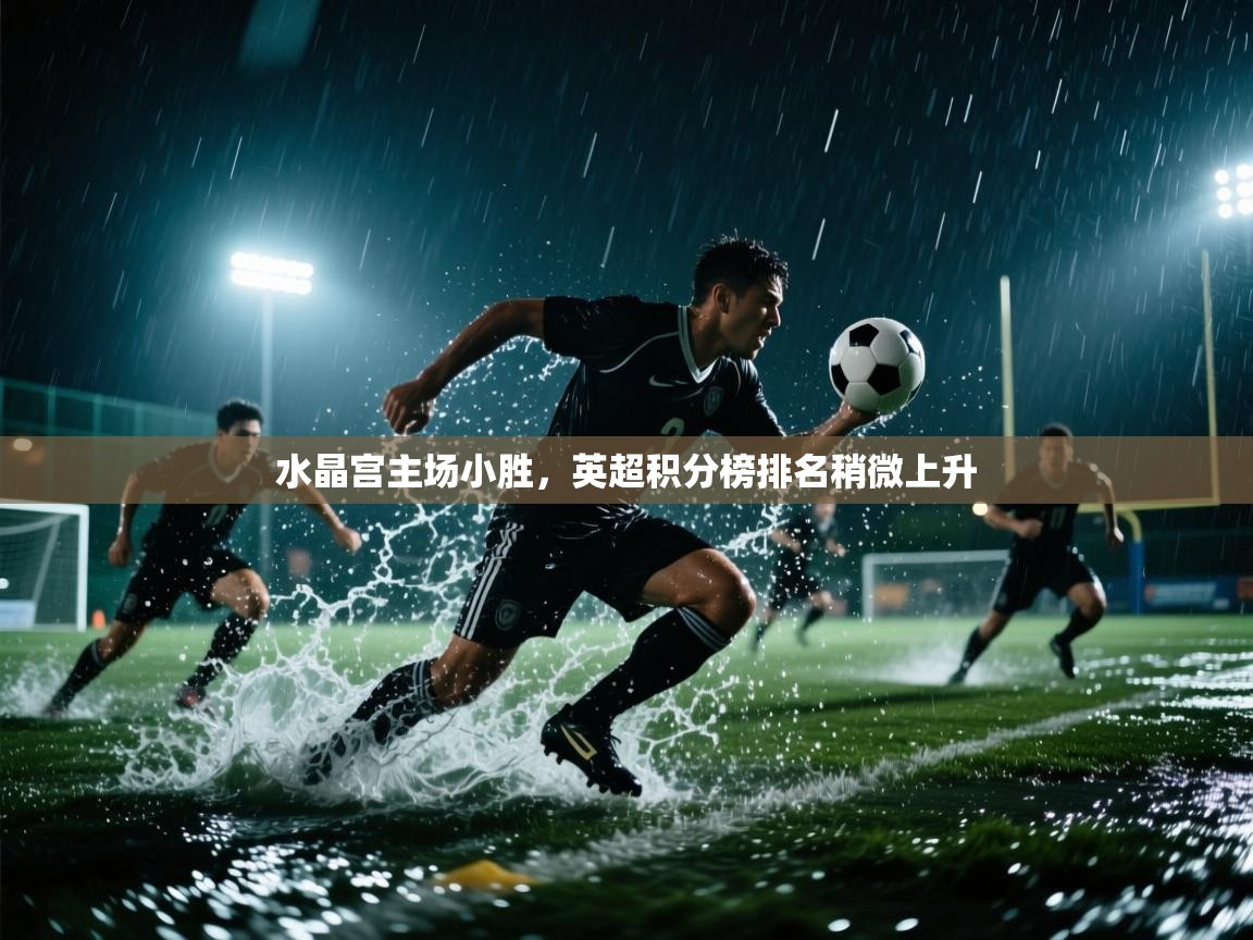 开云赛事直播-水晶宫主场小胜，英超积分榜排名稍微上升  第1张