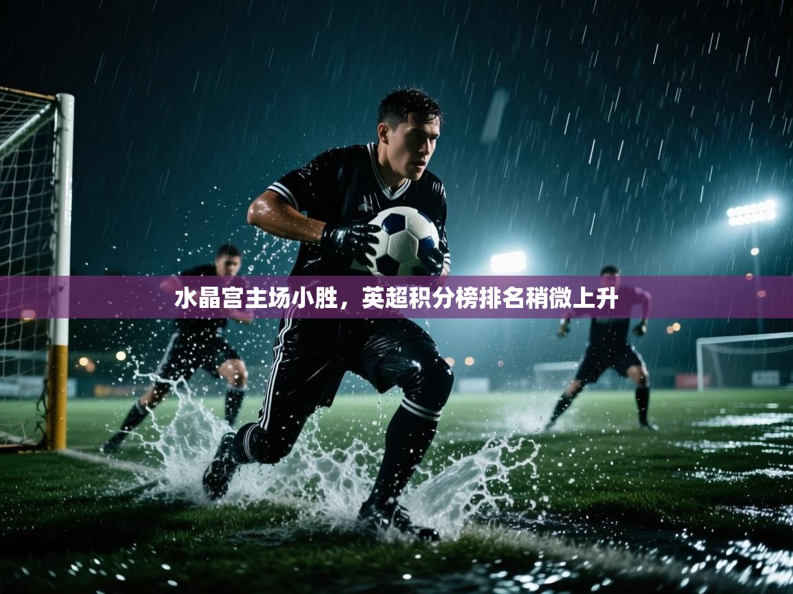 开云赛事直播-水晶宫主场小胜，英超积分榜排名稍微上升  第3张