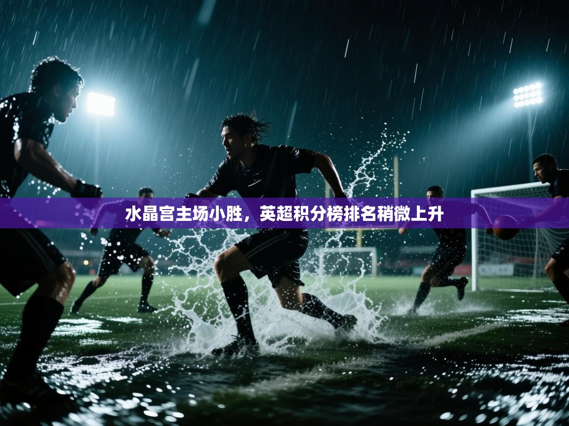 开云赛事直播-水晶宫主场小胜，英超积分榜排名稍微上升  第4张