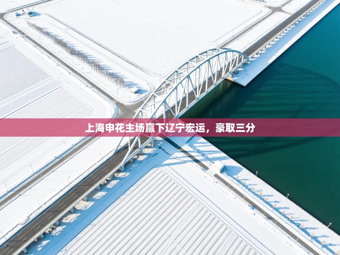 云开体育app网页版入口-上海申花主场赢下辽宁宏运，豪取三分  第1张