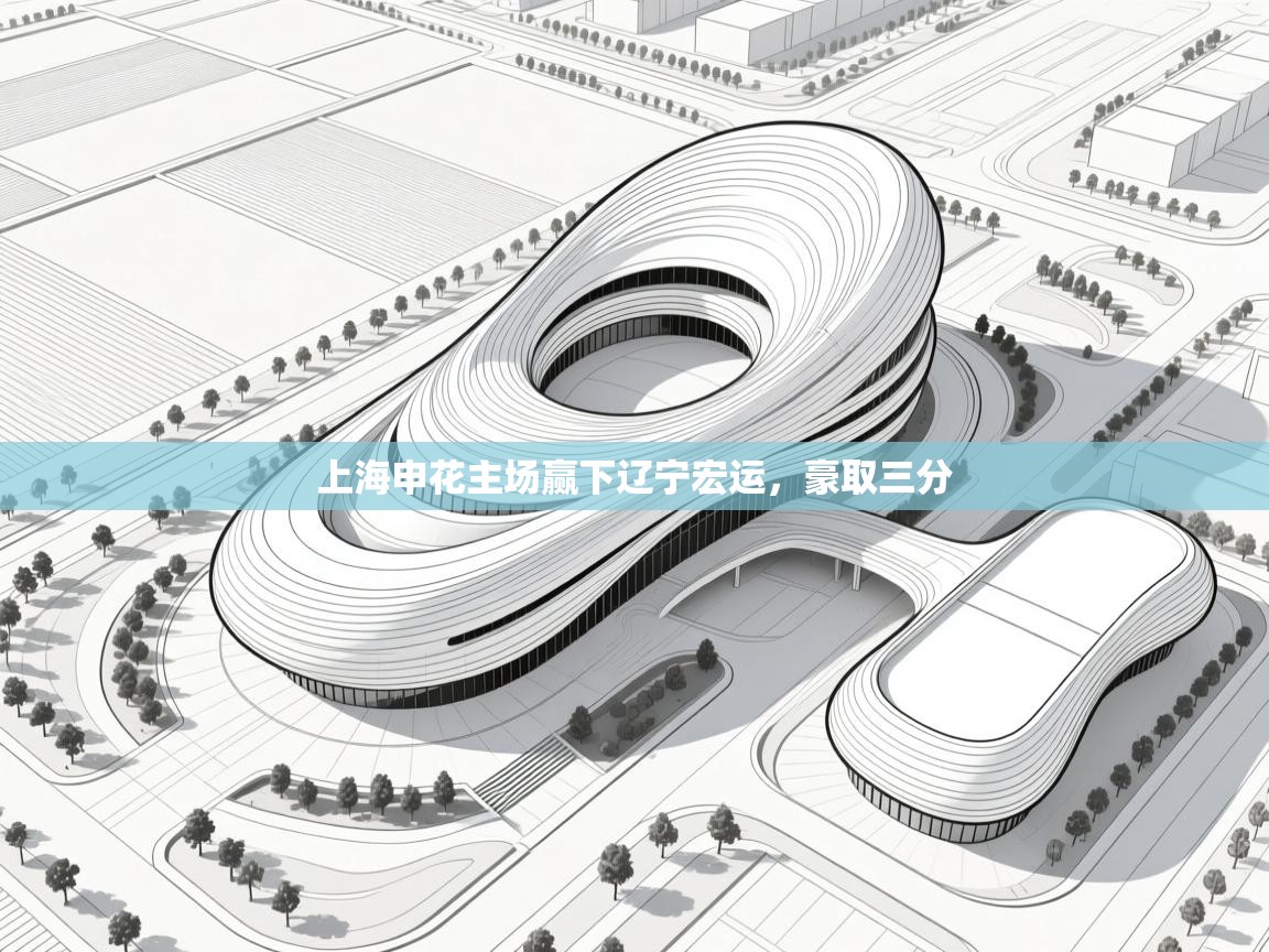 云开体育app网页版入口-上海申花主场赢下辽宁宏运，豪取三分  第3张