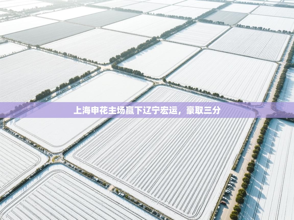 云开体育app网页版入口-上海申花主场赢下辽宁宏运，豪取三分  第2张