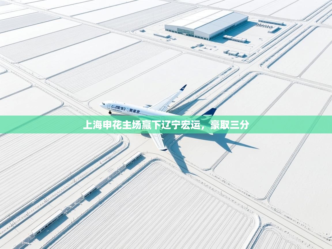 云开体育app网页版入口-上海申花主场赢下辽宁宏运，豪取三分  第4张